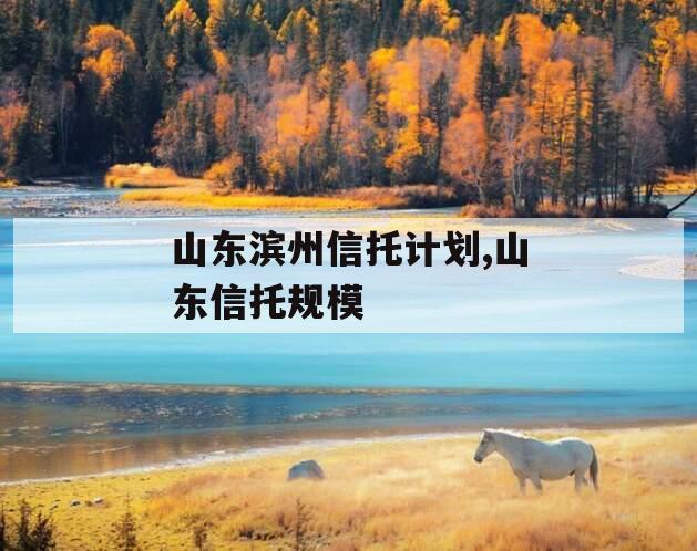 山东滨州信托计划,山东信托规模