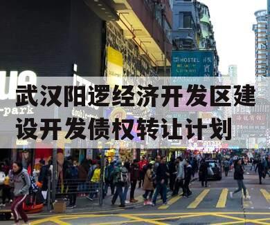 武汉阳逻经济开发区建设开发债权转让计划