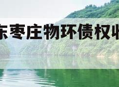 山东枣庄物环债权收益权