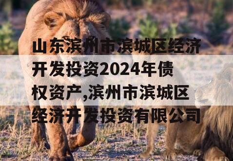 山东滨州市滨城区经济开发投资2024年债权资产,滨州市滨城区经济开发投资有限公司
