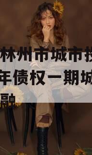 河南林州市城市投资2023年债权一期城投债定融 河南林州市城市投资2023年债权一期城投债定融