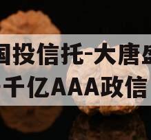 陕国投信托-大唐盛世2号千亿AAA政信