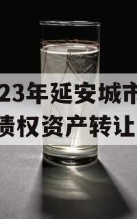 2023年延安城市建投债权资产转让
