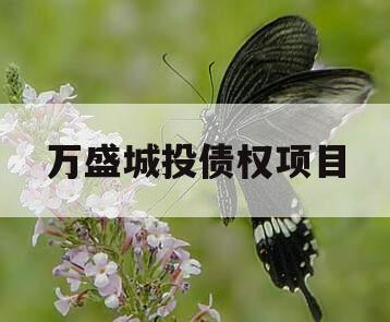 万盛城投债权项目