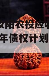 河南汝阳农投应收账款2024年债权计划二期
