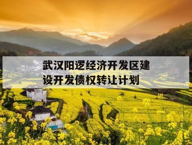 武汉阳逻经济开发区建设开发债权转让计划