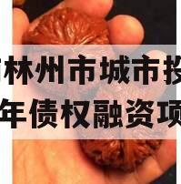河南林州市城市投资2024年债权融资项目