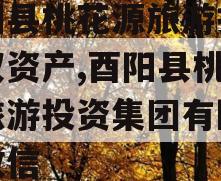 酉阳县桃花源旅游投资债权资产,酉阳县桃花源旅游投资集团有限公司政信
