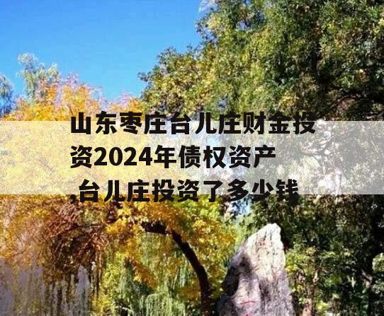 山东枣庄台儿庄财金投资2024年债权资产,台儿庄投资了多少钱