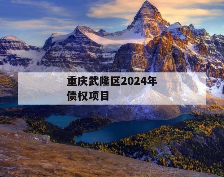 重庆武隆区2024年债权项目