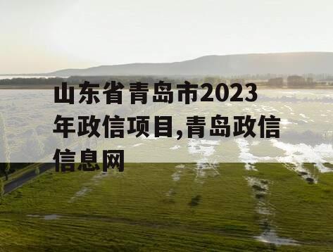 山东省青岛市2023年政信项目,青岛政信信息网