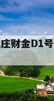 台儿庄财金D1号收益权
