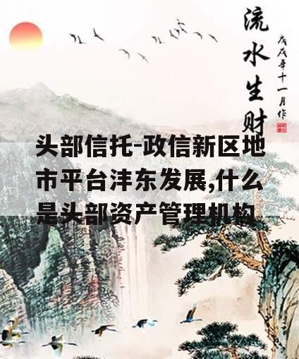头部信托-政信新区地市平台沣东发展,什么是头部资产管理机构