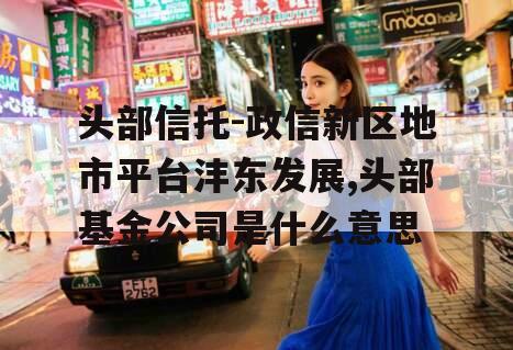 头部信托-政信新区地市平台沣东发展,头部基金公司是什么意思