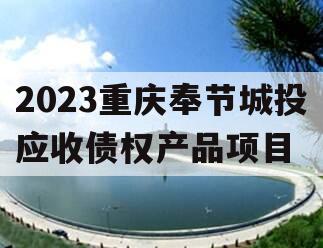 2023重庆奉节城投应收债权产品项目