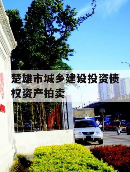 楚雄市城乡建设投资债权资产拍卖