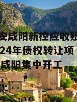 西安咸阳新控应收账款2024年债权转让项目,咸阳集中开工