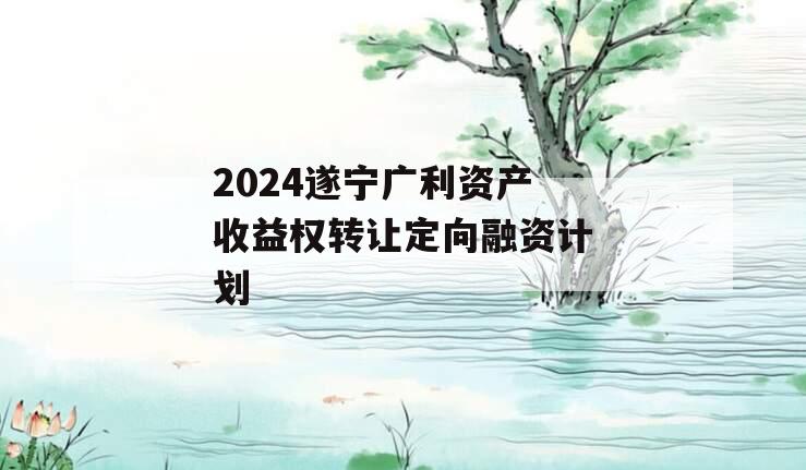 2024遂宁广利资产收益权转让定向融资计划