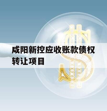 咸阳新控应收账款债权转让项目
