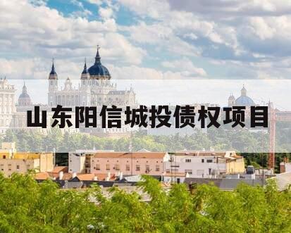 山东阳信城投债权项目 山东阳信城投债权项目