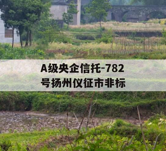 A级央企信托-782号扬州仪征市非标