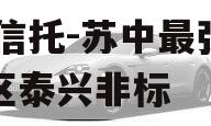 XX信托-苏中最强经济区泰兴非标