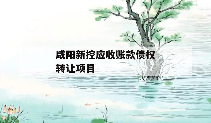 咸阳新控应收账款债权转让项目
