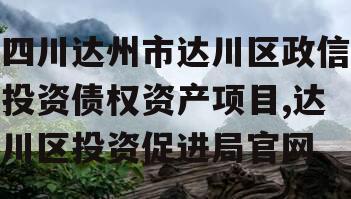 四川达州市达川区政信投资债权资产项目,达川区投资促进局官网