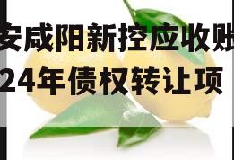 西安咸阳新控应收账款2024年债权转让项目