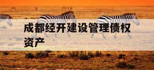 成都经开建设管理债权资产 成都经开建设管理债权资产