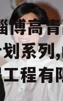 2023淄博高青融锋债权计划系列,山东融高环保工程有限公司