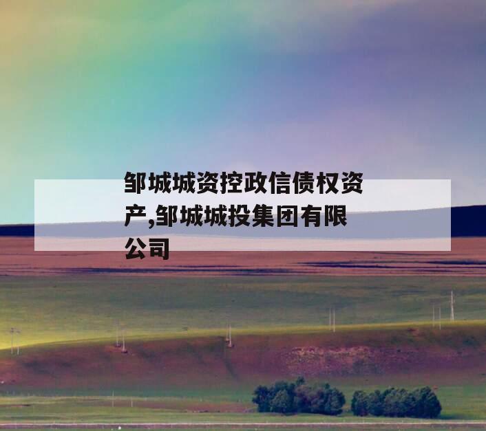 邹城城资控政信债权资产,邹城城投集团有限公司