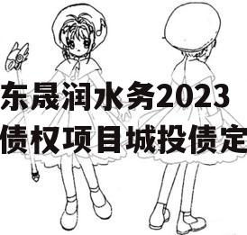 山东晟润水务2023年债权项目城投债定融