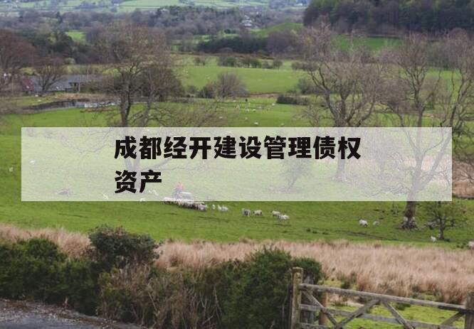 成都经开建设管理债权资产