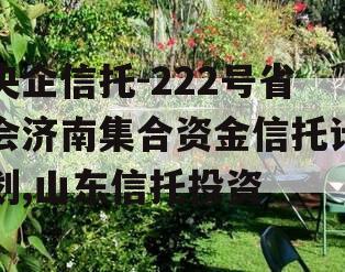 央企信托-222号省会济南集合资金信托计划,山东信托投资