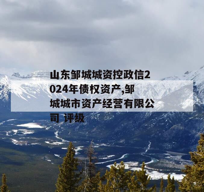 山东邹城城资控政信2024年债权资产,邹城城市资产经营有限公司 评级