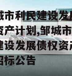 邹城市利民建设发展债权资产计划,邹城市利民建设发展债权资产计划招标公告