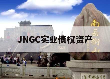 JNGC实业债权资产 JNGC实业债权资产