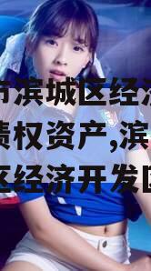 滨州市滨城区经济开发投资债权资产,滨州市滨城区经济开发区
