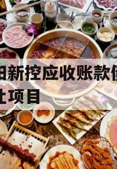 咸阳新控应收账款债权转让项目