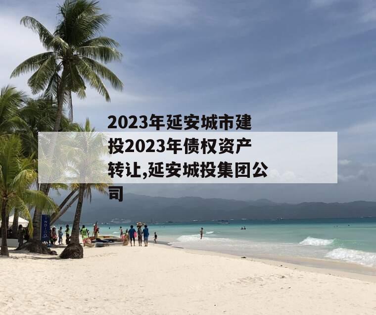 2023年延安城市建投2023年债权资产转让,延安城投集团公司