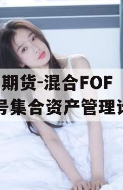 HH期货-混合FOF二号集合资产管理计划