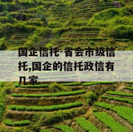 国企信托-省会市级信托,国企的信托政信有几家