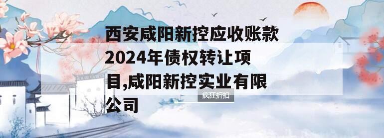 西安咸阳新控应收账款2024年债权转让项目,咸阳新控实业有限公司