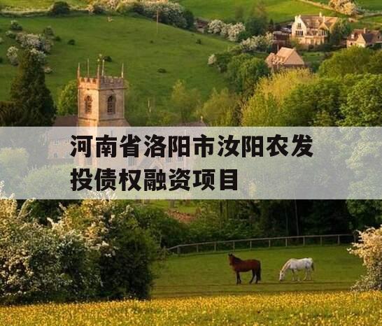 河南省洛阳市汝阳农发投债权融资项目 河南省洛阳市汝阳农发投债权融资项目