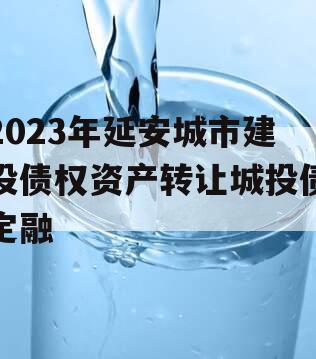 2023年延安城市建投债权资产转让城投债定融