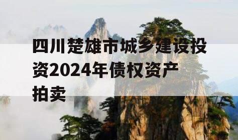 四川楚雄市城乡建设投资2024年债权资产拍卖