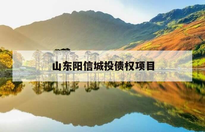山东阳信城投债权项目