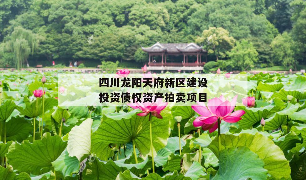 四川龙阳天府新区建设投资债权资产拍卖项目 四川龙阳天府新区建设投资债权资产拍卖项目