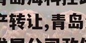 山东青岛海科控政信债权资产转让,青岛海科投资发展公司政信